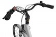 Elektriratas Ecobike Basic Nexus 8,7 Ah Greenway, valge hind ja info | Elektrijalgrattad | hansapost.ee