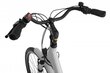 Elektriratas Ecobike Basic Nexus 11,6 Ah Greenway, valge hind ja info | Elektrijalgrattad | hansapost.ee