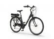 Elektrijalgratas Ecobike Basic 17,5 Ah LG, must hind ja info | Elektrijalgrattad | hansapost.ee