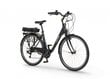 Elektriline jalgratas Ecobike Basic 11,6 Ah Greenway, must hind ja info | Elektrijalgrattad | hansapost.ee