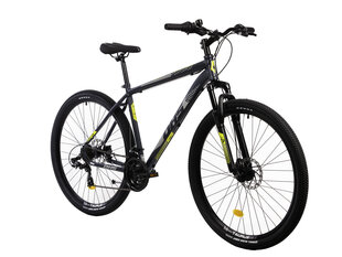 Горный велосипед Devron DHS 2905 29", серый цвет цена и информация | Велосипеды | hansapost.ee