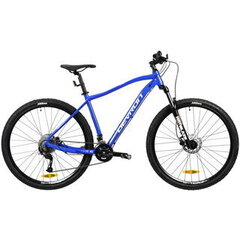 Горный велосипед Devron Riddle Man 2.9 29", 460мм, синий цвет цена и информация | Велосипеды | hansapost.ee
