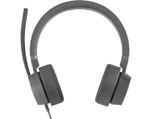 Lenovo Go ANC Headphones, USB Type-C, Storm Gray цена и информация | Наушники | hansapost.ee