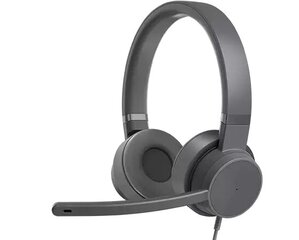 Lenovo Go ANC Headphones, USB Type-C, Storm Gray hind ja info | Kõrvaklapid | hansapost.ee