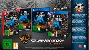 Видеоигры PlayStation 4 Microids Fury Unleashed цена и информация | Компьютерные игры | hansapost.ee