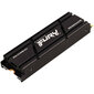 Kingston Fury Renegade, 500 GB M.2 цена и информация | Sisemised kõvakettad | hansapost.ee