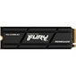 Kingston Fury Renegade, 500 GB M.2 цена и информация | Sisemised kõvakettad | hansapost.ee