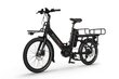 Elektrijalgratas Ecobike Cargo 26,4 Ah LG цена и информация | Elektrijalgrattad | hansapost.ee