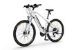 Elektrijalgratas Ecobike SX3 17,5 Ah LG, valge hind ja info | Elektrijalgrattad | hansapost.ee