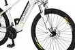 Elektrijalgratas Ecobike SX3 16 Ah Greenway, valge hind ja info | Elektrijalgrattad | hansapost.ee