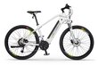 Elektrijalgratas Ecobike SX3 16 Ah Greenway, valge цена и информация | Elektrijalgrattad | hansapost.ee