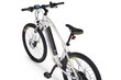 Elektrijalgratas Ecobike SX3 13 Ah Greenway, valge hind ja info | Elektrijalgrattad | hansapost.ee