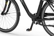 Elektrijalgratas Ecobike Traffic 17,5 Ah LG, must цена и информация | Elektrijalgrattad | hansapost.ee