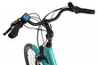 Elektrijalgratas Ecobike Traffic 17,5 Ah LG, sinine hind ja info | Elektrijalgrattad | hansapost.ee