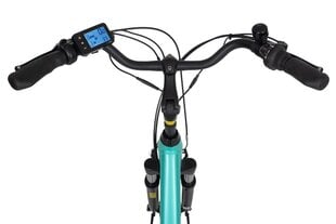 Elektrijalgratas Ecobike Traffic 14,5 Ah Greenway, sinine цена и информация | Электровелосипеды | hansapost.ee