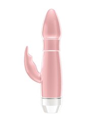 Vibraator Loraine, roosa hind ja info | Vibraatorid | hansapost.ee
