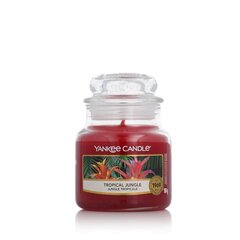 Lõhnastatud küünal Yankee Candle Troopilised puuviljad (104 g) hind ja info | Küünlad, küünlajalad | hansapost.ee