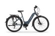 Elektrijalgratas Ecobike D1 Trekking 14 Ah LG, sinine hind ja info | Elektrijalgrattad | hansapost.ee