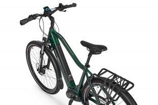 Elektrijalgratas Ecobike MX 300 14 Ah LG, roheline цена и информация | Электровелосипеды | hansapost.ee