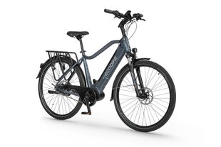 Elektrijalgratas Ecobike MX 23" 11,6 Ah Greenway, sinine цена и информация | Электровелосипеды | hansapost.ee