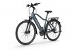 Elektrijalgratas Ecobike MX 23" 10,4 Ah Greenway, sinine цена и информация | Elektrijalgrattad | hansapost.ee