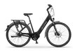 Elektrijalgratas Ecobike LX 21" 11,6 Ah Greenway, must цена и информация | Elektrijalgrattad | hansapost.ee