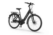 Elektrijalgratas Ecobike LX 21" 11,6 Ah Greenway, must цена и информация | Elektrijalgrattad | hansapost.ee