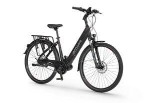 Электрический велосипед Ecobike LX 21" 10,4 Aч Greenway, черный цвет цена и информация | Электровелосипеды | hansapost.ee