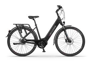 Elektrijalgratas Ecobike LX 19" 14 Ah ah LG, must цена и информация | Электровелосипеды | hansapost.ee