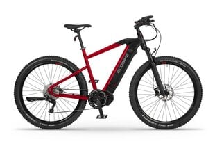 Электровелосипед Ecobike RX 500 19", 17.5 Ач LG, красный цвет цена и информация | Электровелосипеды | hansapost.ee