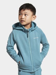 Детский свитер Didriksons CORIN, бирюзовый цвет цена и информация | Didriksons Одежда для мальчиков | hansapost.ee