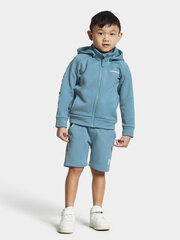 Детский свитер Didriksons CORIN, бирюзовый цвет цена и информация | Свитеры, жилетки, пиджаки для мальчиков | hansapost.ee