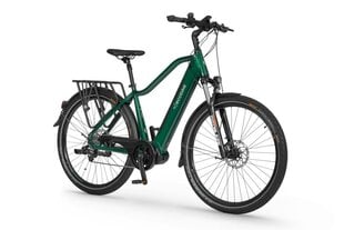Elektrijalgratas Ecobike MX 300 11,6 Ah Greenway, roheline цена и информация | Электровелосипеды | hansapost.ee