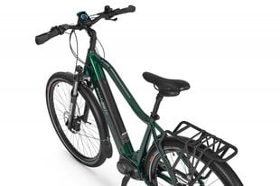 Электрический велосипед Ecobike MX 300 11,6 Aч Greenway, зеленый цвет цена и информация | Электровелосипеды | hansapost.ee