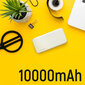 Wozinsky WPBWE1 10000mAh цена и информация | Akupangad | hansapost.ee