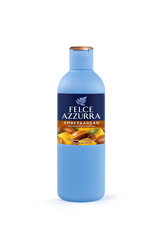 Dušigeel Felce Azzurra Amber & Argan, 650 ml hind ja info | Felce Azzurra Kehahooldustooted | hansapost.ee