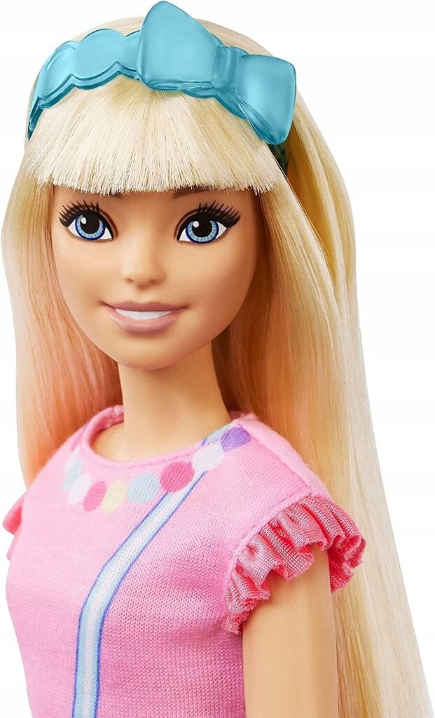 Barbie kassipojaga hind ja info | Mänguasjad tüdrukutele | hansapost.ee