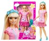 Barbie kassipojaga hind ja info | Mänguasjad tüdrukutele | hansapost.ee