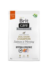 Brit Care Hypoallergenic Dog Show Champion koeratoit 3kg hind ja info | Brit Care Koerad | hansapost.ee