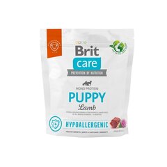 Brit Care сухой корм для молодых собак, 1 кг цена и информация | Сухой корм для собак | hansapost.ee