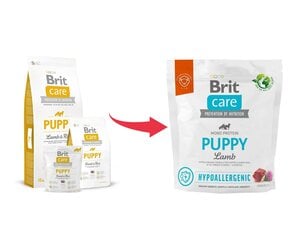 Brit Care kuivtoit noortele koertele, 1 kg цена и информация | Сухой корм для собак | hansapost.ee
