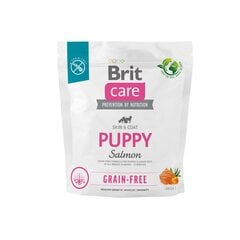 BritCare Grain-free kuivtoit igat tõugu kutsikatele ja noortele koertele, 1 kg цена и информация | Сухой корм для собак | hansapost.ee