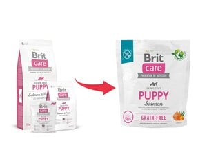 Brit Care Grain-free сухой корм для щенков и молодых собак всех пород, 1 кг цена и информация | Сухой корм для собак | hansapost.ee