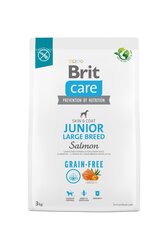 Brit Care Grain-free suurt tõugu noortele kutsikatele koos lõhega, 3 kg цена и информация | Сухой корм для собак | hansapost.ee