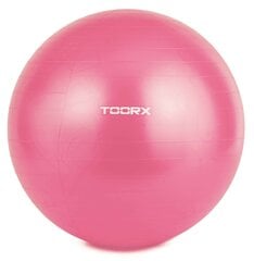 Võimlemispall TOORX AHF-012 55cm price and information | Gymnastics balls | hansapost.ee