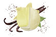 Kodulõhnastaja Carbaline "Vervain - Vanilla", 50 ml цена и информация | Lõhnapulgad ja kodulõhnastajad | hansapost.ee