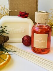 Набор аромата для дома и с марсельским мылом Mediteranean Citrus Carbaline 50 мл цена и информация | Ароматы для дома | hansapost.ee