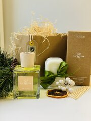 Набор аромата для дома с марсельским мылом Sandalwood 100 мл цена и информация | Ароматы для дома | hansapost.ee