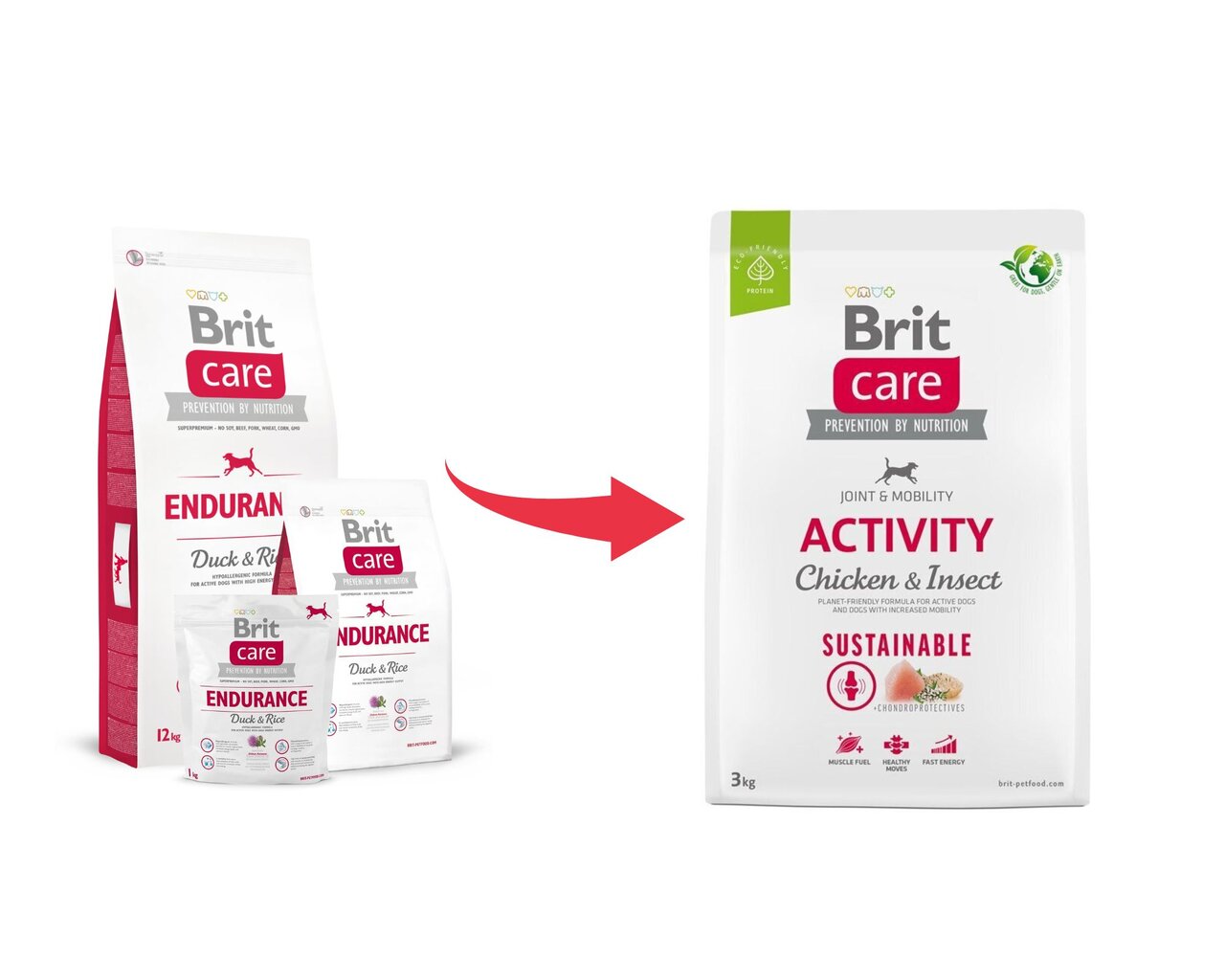 Brit Care Sustainable Activity Chicken&Insect koeratoit 3kg hind ja info | Koerte kuivtoit ja krõbinad | hansapost.ee