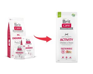 Brit Care Sustainable Activity Chicken&Insect koeratoit 12kg hind ja info | Brit Care Koerad | hansapost.ee